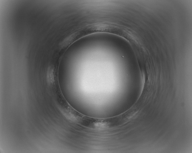 X0000071820216200606301301