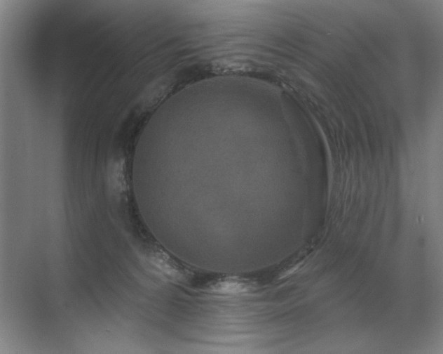X0000071820224200606301301