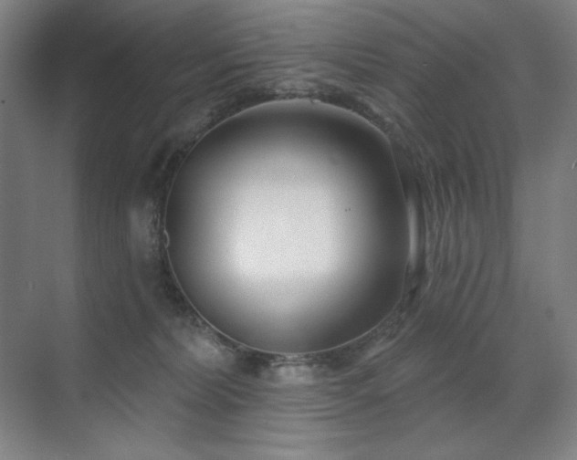 X0000071820228200606301301