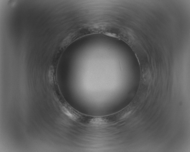 X0000071820231200606301301