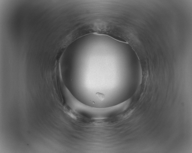 X0000071820233200606301301