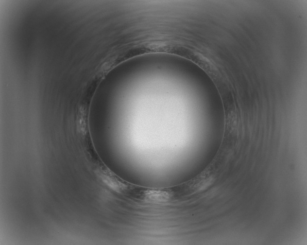 X0000071820234200606301301
