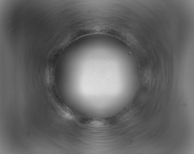 X0000071820236200606301301