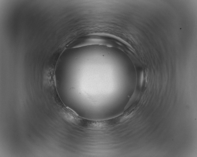 X0000071820237200606301301