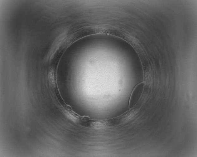 X0000071820238200606301301