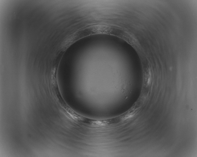 X0000071820239200606301301