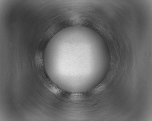 X0000071820240200606301301