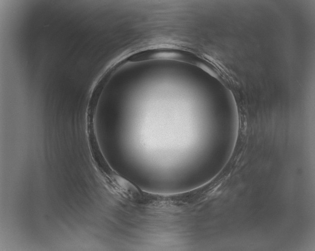 X0000071820244200606301300