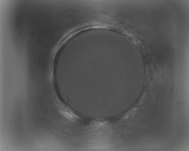 X0000071820247200606301300