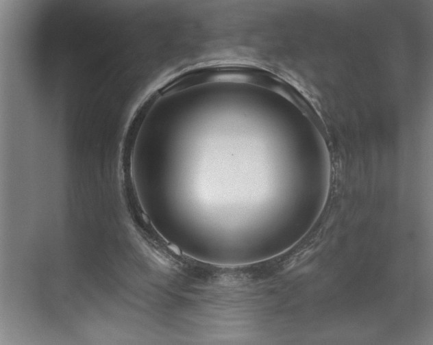 X0000071820248200606301300