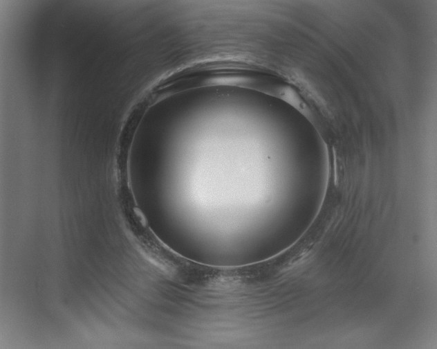 X0000071820252200606301300