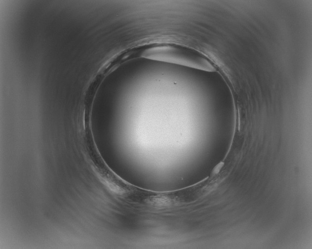 X0000071820253200606301300