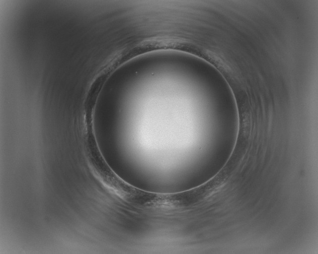 X0000071820254200606301300