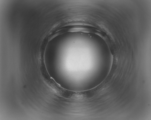 X0000071820260200606301300