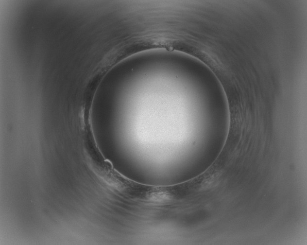 X0000071820262200606301300