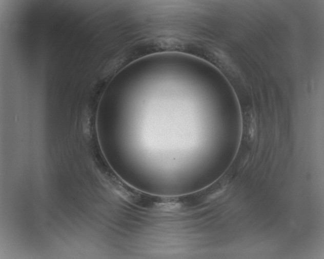 X0000071820266200606301300