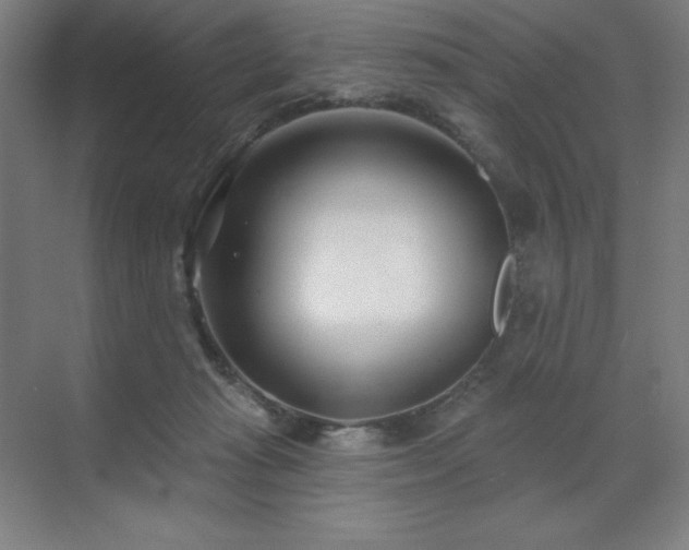 X0000071820269200606301300