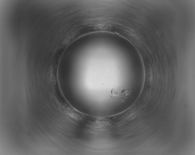 X0000071820270200606301300