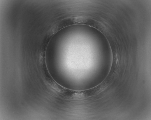 X0000071820271200606301300