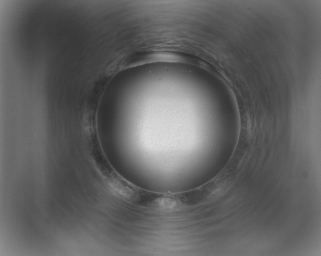 X0000071820272200606301300