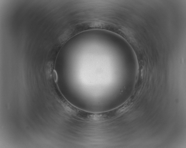 X0000071820273200606301300
