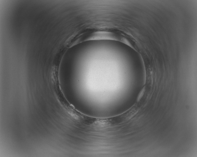 X0000071820280200606301301