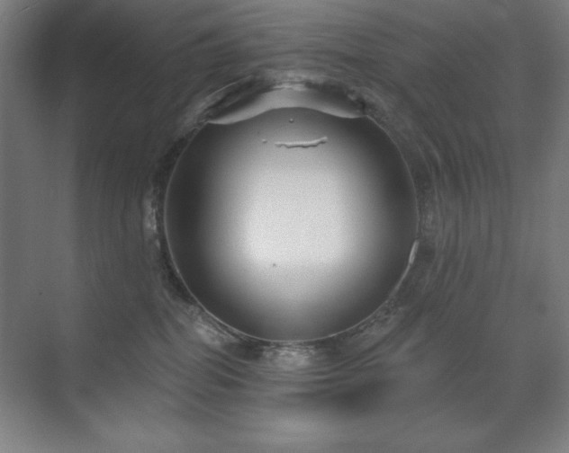 X0000071820282200606301301