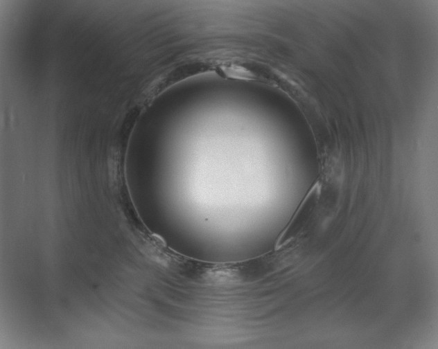 X0000071820283200606301301