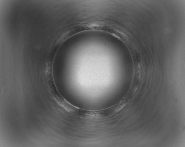 X0000071820284200606301301