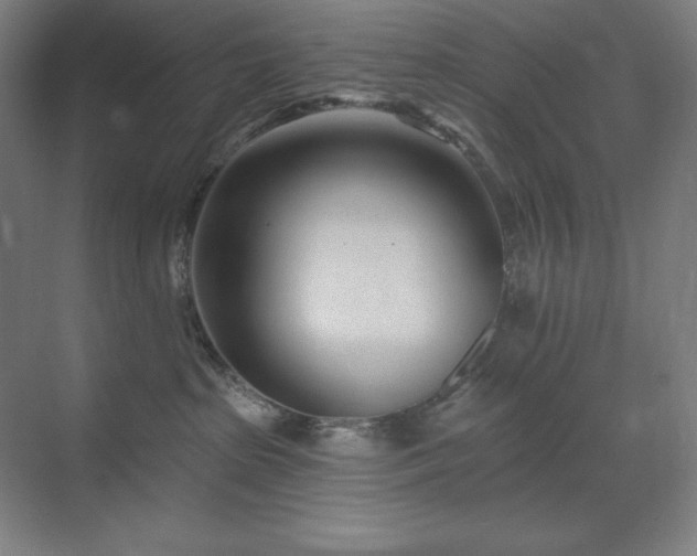 X0000071820285200606301301