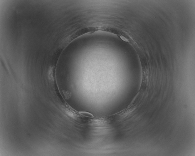 X0000071820286200606301301