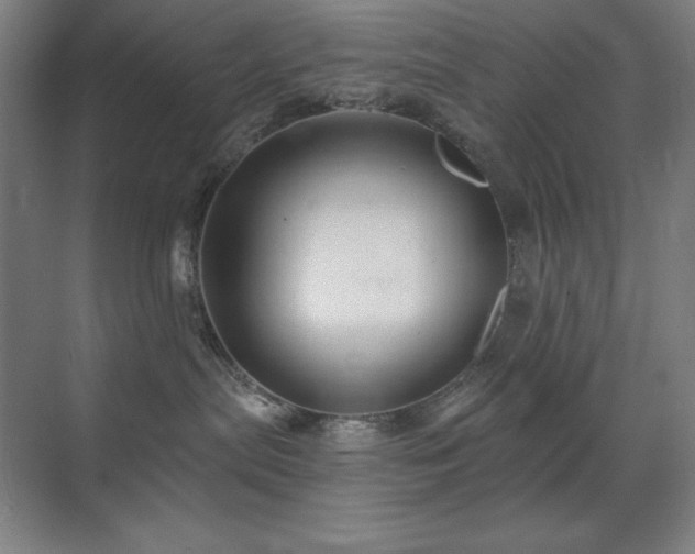 X0000071820287200606301301