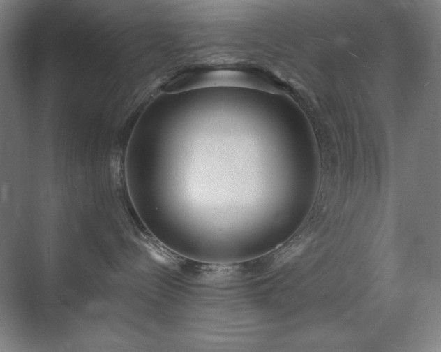 X0000071820288200606301301