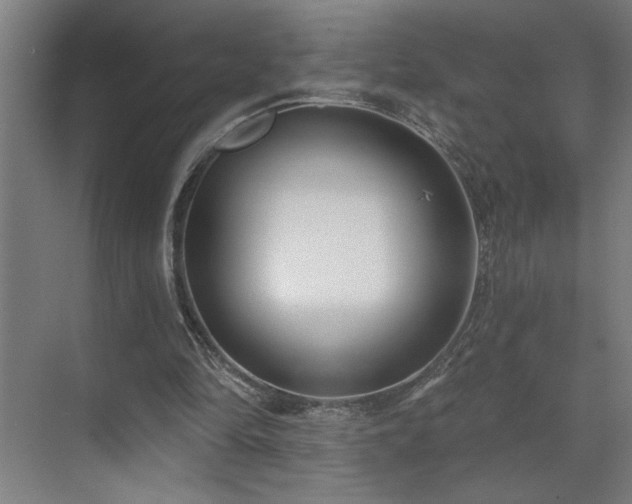 X0000071820294200606301300