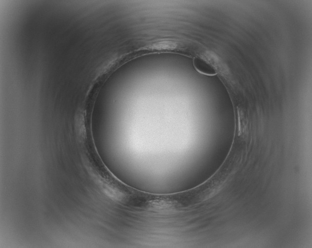X0000071820300200606301300