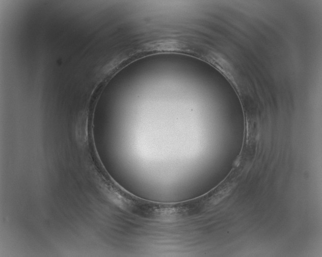 X0000071820301200606301300