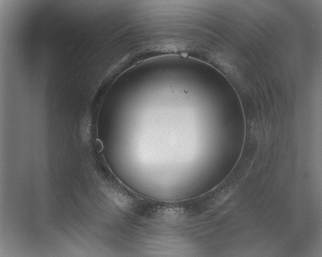 X0000071820304200606301300