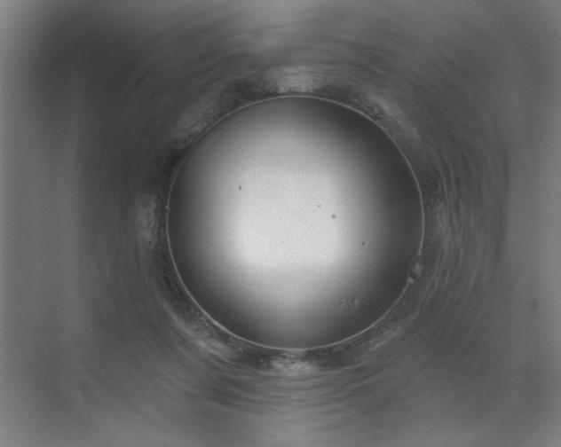 X0000071820311200606301259