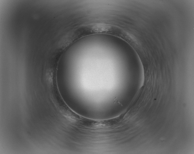 X0000071820315200606301259