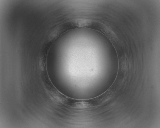 X0000071820316200606301259