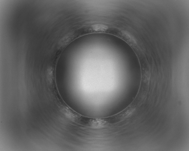 X0000071820321200606301259