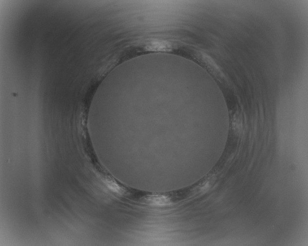 X0000071820322200606301259