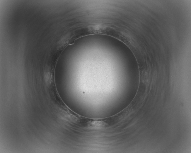 X0000071820324200606301259