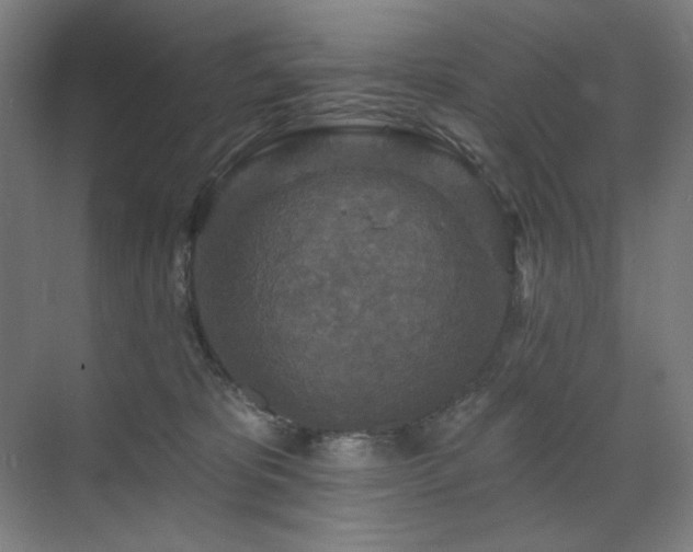 X0000071820325200606301259