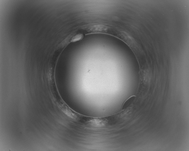 X0000071820326200606301259