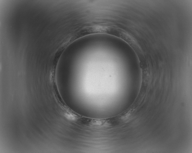 X0000071820329200606301259