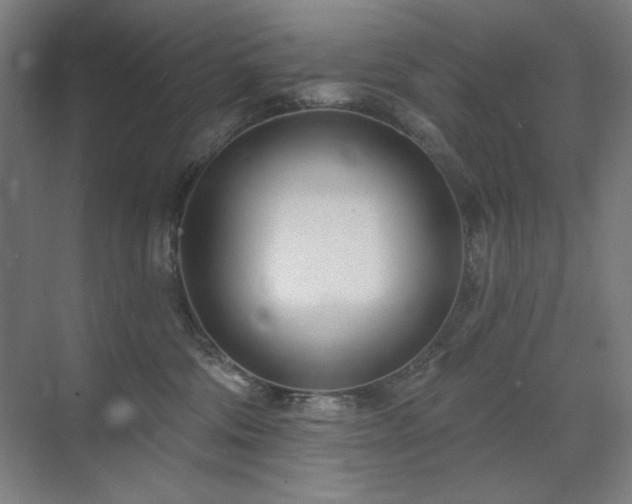 X0000071820330200606301259