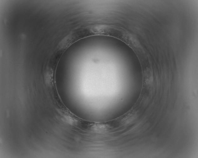 X0000071820332200606301259