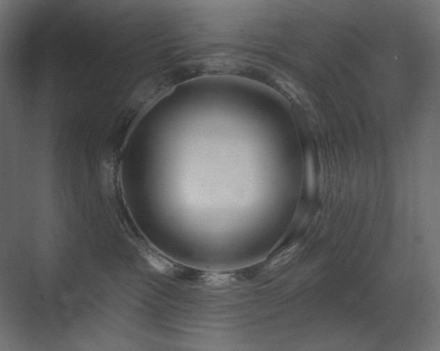 X0000071820333200606301259