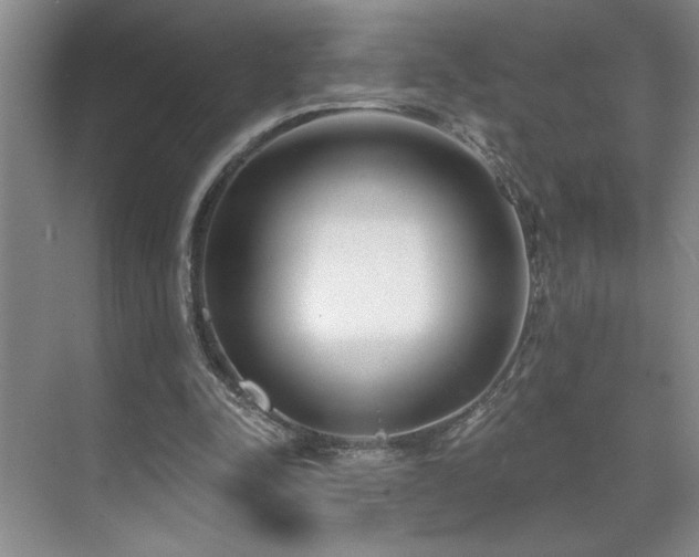 X0000071820342200606301258
